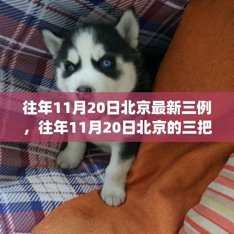 往年11月20日北京三例背后的故事，點燃自信與成就之光的學習之旅