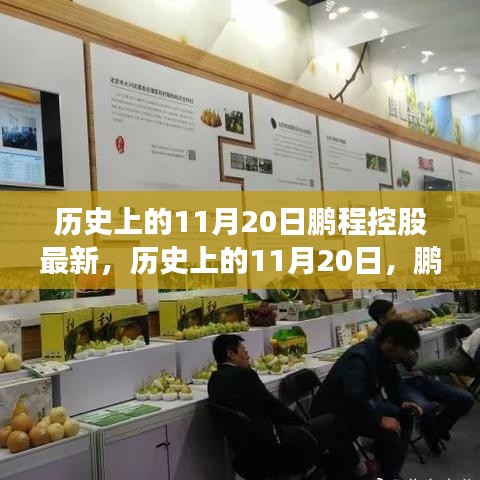 歷史上的11月20日鵬程控股最新進展與深度評測揭秘