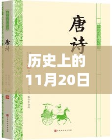 麻衣神算子最新章節(jié)閱讀指南，歷史11月20日更新，初學(xué)者與進(jìn)階用戶必讀