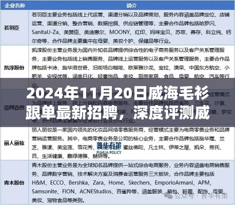 威海毛衫跟單最新招聘深度解析，特性、用戶體驗(yàn)與目標(biāo)受眾分析