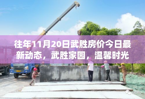 往年11月20日武勝房價今日最新動態(tài)，武勝家園，溫馨時光與房價的微妙交響曲