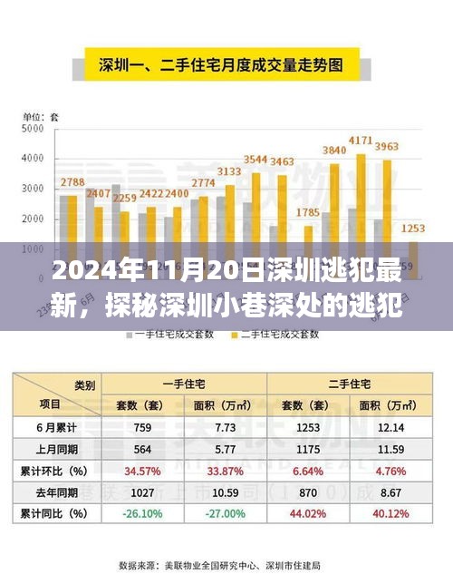 探秘深圳小巷深處的逃犯新去處，特色小店背后的故事（2024年11月20日深圳逃犯最新）