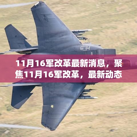 深度解讀，聚焦11月16日軍隊改革最新動態(tài)與深度解讀