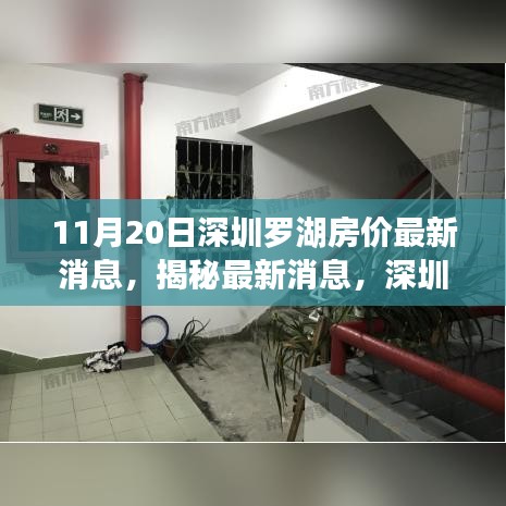 深圳羅湖房價(jià)最新動(dòng)態(tài)及市場趨勢解析（11月20日數(shù)據(jù)揭秘）