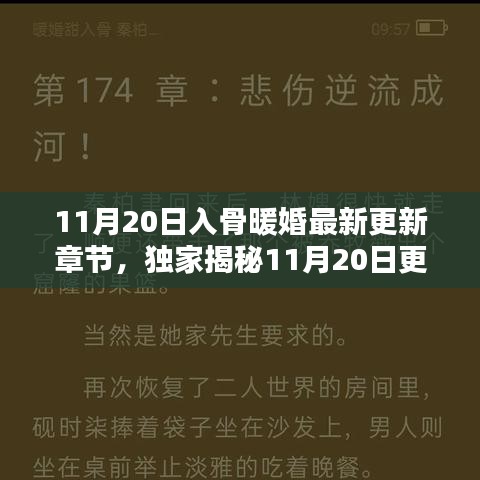 獨(dú)家揭秘，入骨暖婚最新更新章節(jié)，高科技革新重塑婚姻未來體驗(yàn)