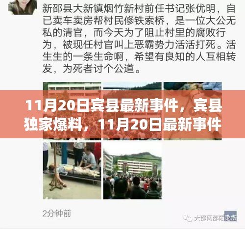 賓縣獨(dú)家爆料，11月20日最新事件全解析，小紅書直擊現(xiàn)場！