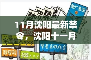 沈陽(yáng)11月新禁令出臺(tái)，法規(guī)更新與溫馨瞬間
