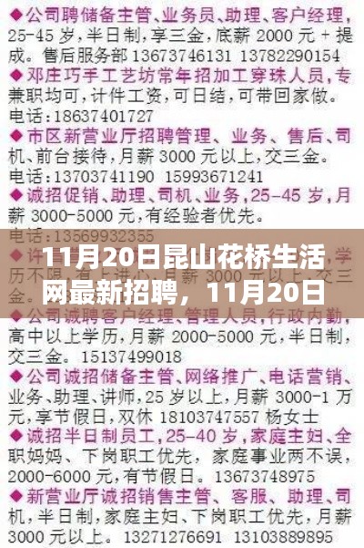 11月20日昆山花橋生活網(wǎng)最新招聘求職攻略，成功應(yīng)聘全解析
