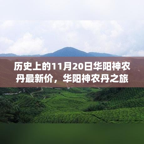 華陽神農(nóng)丹之旅，探尋歷史價(jià)格與自然美景，尋找內(nèi)心的寧靜與和諧
