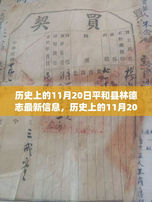 歷史上的11月20日，平和縣林德志最新信息概覽