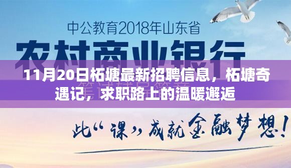 柘塘最新招聘信息揭秘，求職路上的溫暖邂逅之旅
