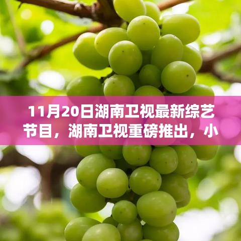 湖南衛(wèi)視巷弄美食探秘夜，小巷深處的綜藝寶藏新節(jié)目上線