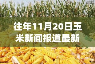 探秘巷弄深處的驚喜小店，往年玉米新聞回顧與隱藏式特色小店的玉米香之旅