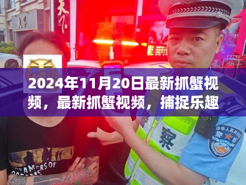 最新抓蟹視頻，捕捉樂(lè)趣與生態(tài)平衡交織的探討