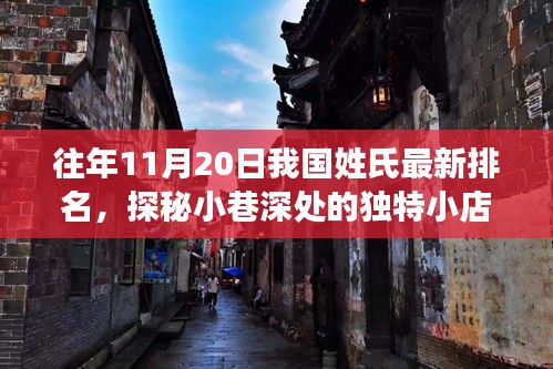 往年11月20日中國姓氏最新排名，小巷深處的獨(dú)特小店背后的故事探秘