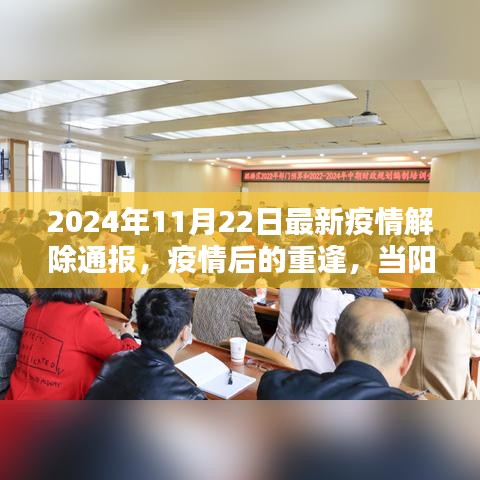 陽光照亮心靈，疫情解除通報(bào)與重逢的日子