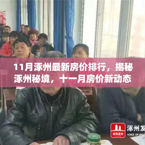 揭秘涿州最新房價(jià)動(dòng)態(tài)，綠色之旅探尋內(nèi)心平靜之地