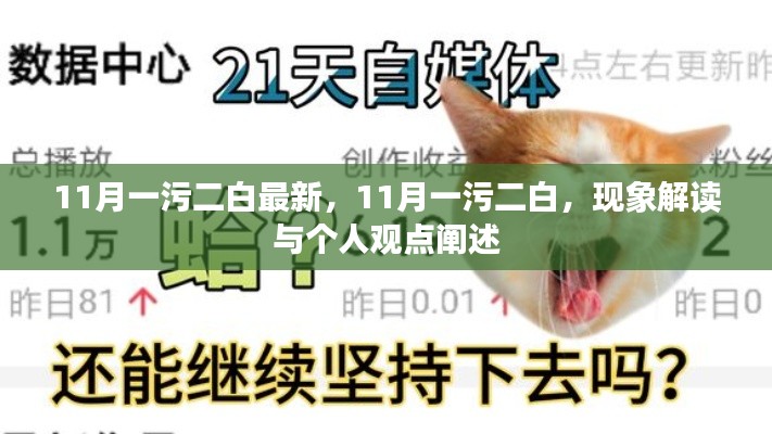 11月一污二白現(xiàn)象解讀與個(gè)人觀點(diǎn)闡述，最新觀察與闡述