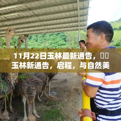 玉林新通告發(fā)布，啟程共舞自然美景，探尋內(nèi)心寧?kù)o之樂(lè)