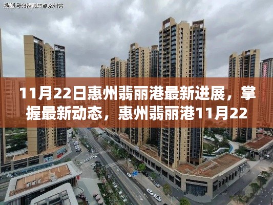 惠州翡麗港11月22日最新進(jìn)展詳解與操作指南，掌握最新動態(tài)！