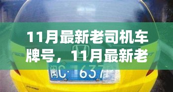 11月最新老司機(jī)車牌號(hào)，11月最新老司機(jī)車牌號(hào)全面評(píng)測(cè)與介紹
