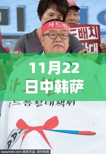 中韓薩德反導(dǎo)系統(tǒng)最新動(dòng)態(tài)報(bào)道（截至11月22日）
