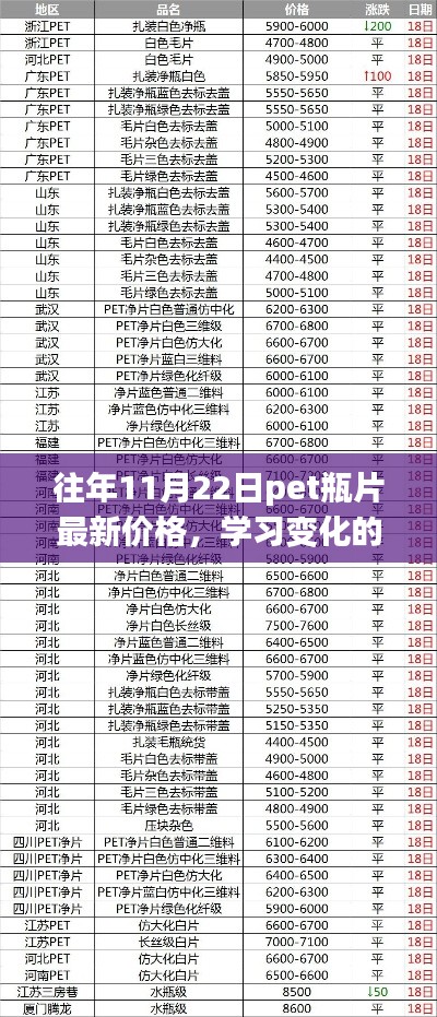 往年11月22日PET瓶片最新價(jià)格，探尋變化的力量，自信與成就的來源