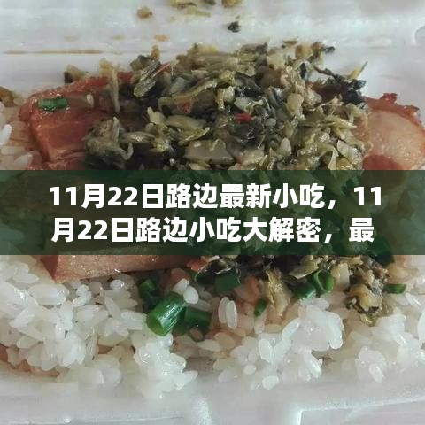 揭秘11月22日路邊最新小吃，深度評測與介紹