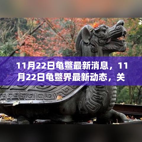 11月22日龜鱉界最新動(dòng)態(tài)，生態(tài)健康與保護(hù)進(jìn)展關(guān)注焦點(diǎn)