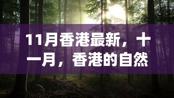 香港十一月自然之旅，綠色懷抱中的心靈尋覓