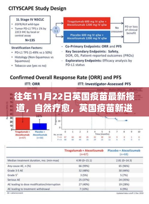 英國疫苗新進(jìn)展下的自然療愈與心靈探索之旅，美景與寧靜的追尋