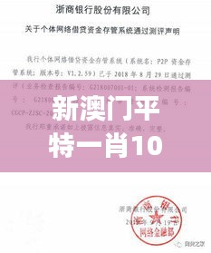 新澳門平特一肖100準,安全性方案執(zhí)行_習慣版SIR5.89