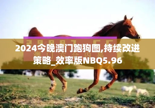 2024今晚澳門跑狗圖,持續(xù)改進(jìn)策略_效率版NBQ5.96