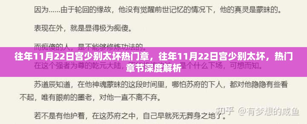 往年11月22日宮少別太壞熱門章節(jié)深度解析與回顧