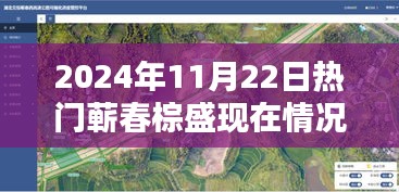 蘄春棕盛2024年11月22日現(xiàn)狀揭秘，日常溫馨與奇遇