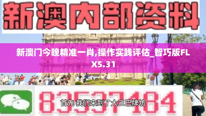 新澳門今晚精準(zhǔn)一肖,操作實踐評估_智巧版FLX5.31