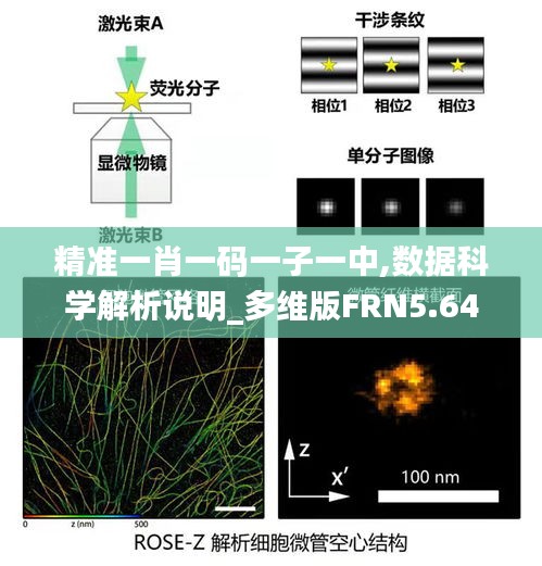 精準(zhǔn)一肖一碼一子一中,數(shù)據(jù)科學(xué)解析說(shuō)明_多維版FRN5.64