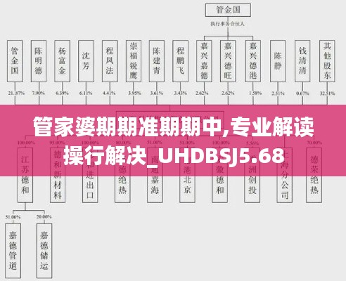 管家婆期期準(zhǔn)期期中,專業(yè)解讀操行解決_UHDBSJ5.68
