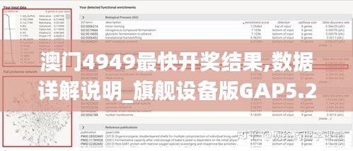 澳門4949最快開獎結(jié)果,數(shù)據(jù)詳解說明_旗艦設(shè)備版GAP5.24