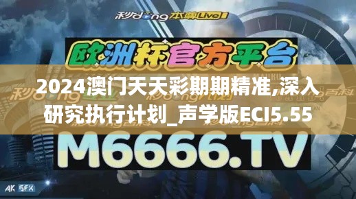 2024澳門天天彩期期精準(zhǔn),深入研究執(zhí)行計劃_聲學(xué)版ECI5.55