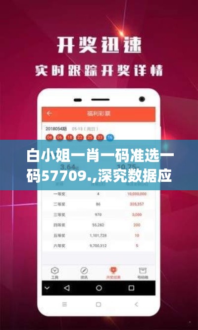 白小姐一肖一碼準(zhǔn)選一碼57709.,深究數(shù)據(jù)應(yīng)用策略_互聯(lián)版CIF5.6