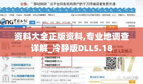 資料大全正版資料,專業(yè)地調(diào)查詳解_冷靜版DLL5.18
