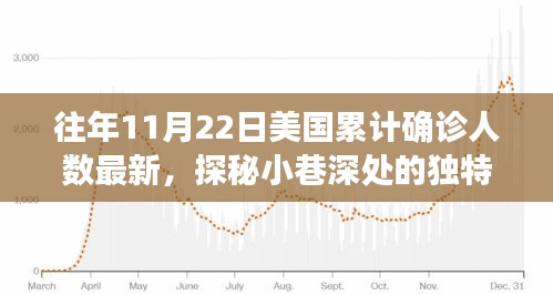 美國累計確診人數(shù)背后的故事，探秘獨特小店與驚喜發(fā)現(xiàn)