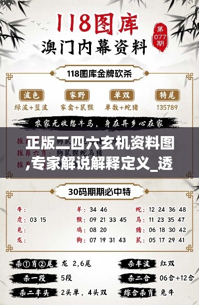 正版二四六玄機(jī)資料圖,專家解說解釋定義_透明版MYA5.84