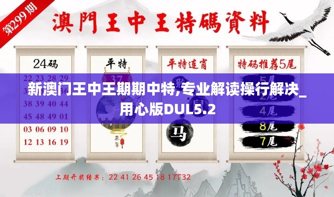 新澳門王中王期期中特,專業(yè)解讀操行解決_用心版DUL5.2