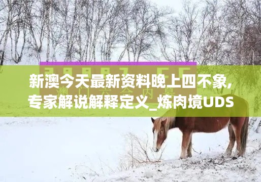 新澳今天最新資料晚上四不象,專家解說解釋定義_煉肉境UDS5.42