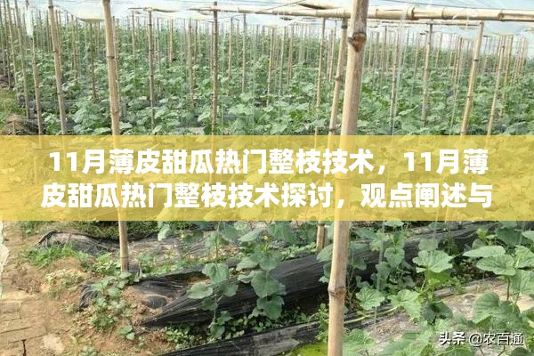 11月薄皮甜瓜整枝技術(shù)探討，觀點(diǎn)闡述與解析