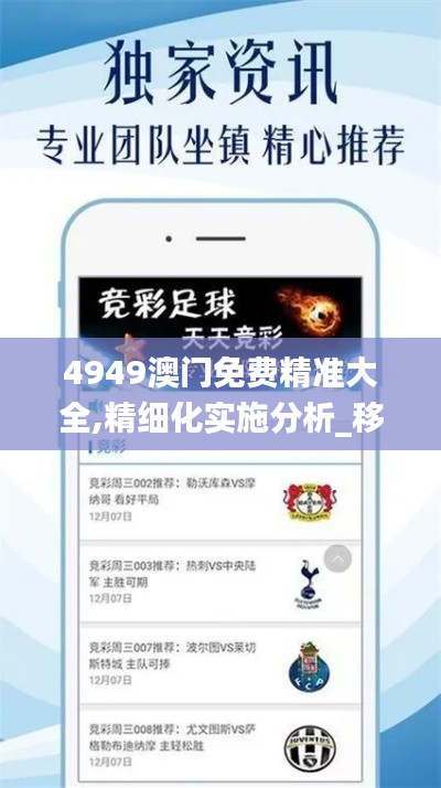 4949澳門免費(fèi)精準(zhǔn)大全,精細(xì)化實(shí)施分析_移動(dòng)版XOS5.73
