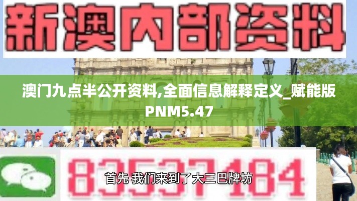 澳門九點(diǎn)半公開資料,全面信息解釋定義_賦能版PNM5.47