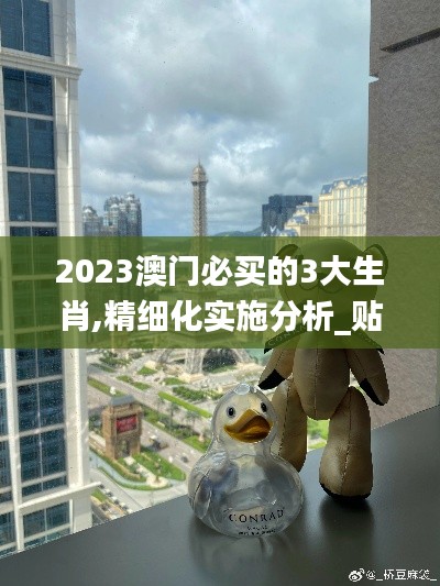 2023澳門必買的3大生肖,精細(xì)化實(shí)施分析_貼心版QBX5.70